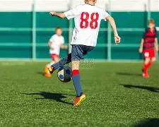 葡萄牙对阵,丹麦,罗领衔,永利皇宫app链接,永利皇宫app地址,永利皇宫app官方平台,永利皇宫app入口站点